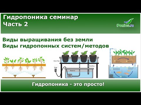 Видео: 🌱 Гидропоника семинар. Часть 2. 🌱 Виды выращивания без земли. Виды гидропонных систем/методов