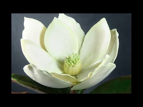 Видео: МАГНОЛИЯ ИЗ ПОЛИМЕРНОЙ ГЛИНЫ   (часть 1)  MAGNOLIA