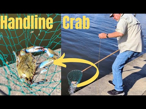 Видео: Ловля синих крабов****Будьте терпеливы