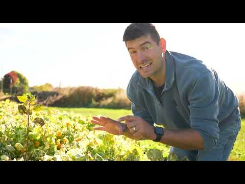 Видео: У нас случился мороз, и это привело к шокирующим переменам!