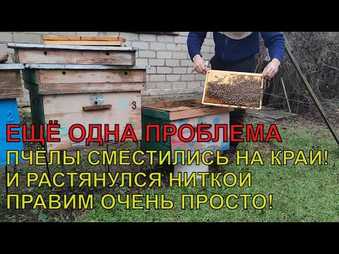 Видео: НЕПРАВИЛЬНАЯ ЗИМОВКА ПЧЁЛ ПЧЁЛЫ РАСТЯНУЛИСЬ как исправить пчелиный клуб зимой ☝️🐝🐝