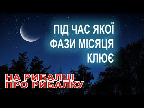 Видео: Як фази Місяця впливають на клювання риби