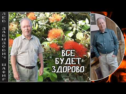Видео: Лев Давыдович Шафир. #левшафир