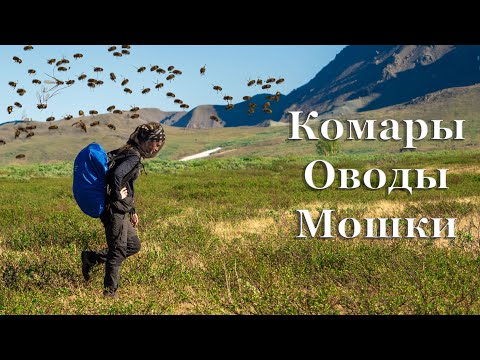 Видео: Поехали кормить комаров и мошек. Полярный Урал на мотоцикле