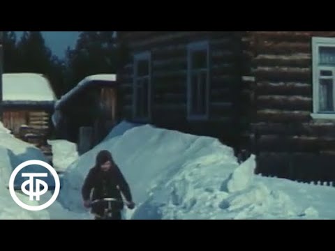 Видео: Край Печорский (1976)