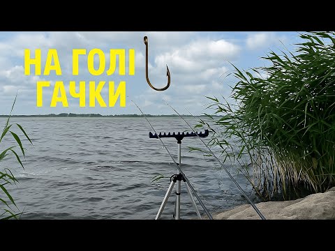 Видео: Наловив риби на голі гачки. Монтаж який ловить краще ніж класика #дозариболовлі #realfish #megalodon