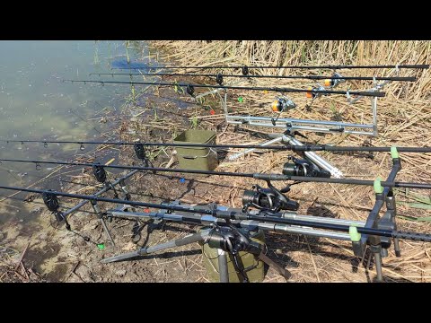 Видео: Ловля КОРОПА на МАКСИМАЛКАХ, Рибалка на сазана
