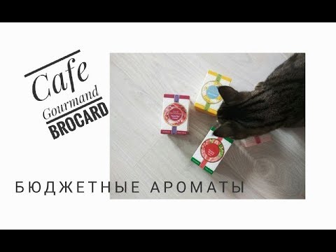 Видео: Бюджетные ароматы Brocard: Cafe Gourmand