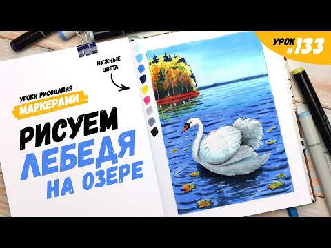 Видео: Как нарисовать лебедя? / Видео-урок по рисованию маркерами #133