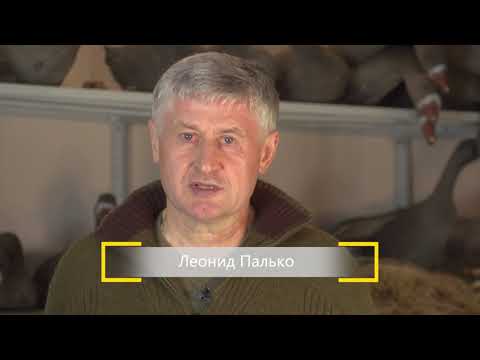 Видео: Охотничий минимум. Выпуск 2