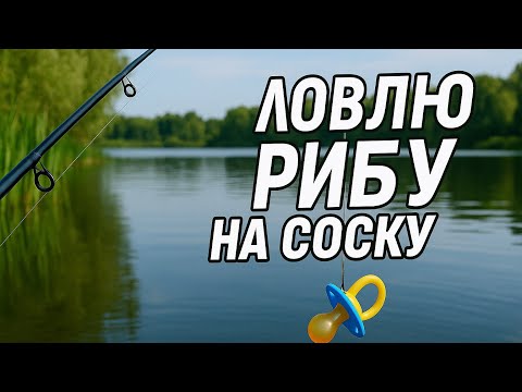 Видео: Ловлю рибу на соску. Гарний монтаж по капризній рибі #дозариболовлі #realfish #карась #фідер #монтаж