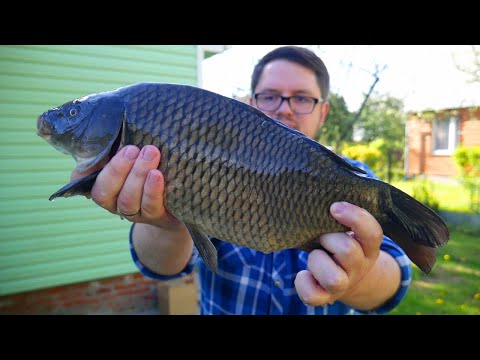 Видео: Вкусный ЖАРЕНЫЙ КАРП - Рецепт хрустящей и сочной рыбы. Маринад для ОВОЩЕЙ на ГРИЛЕ. Соус к Рыбе.