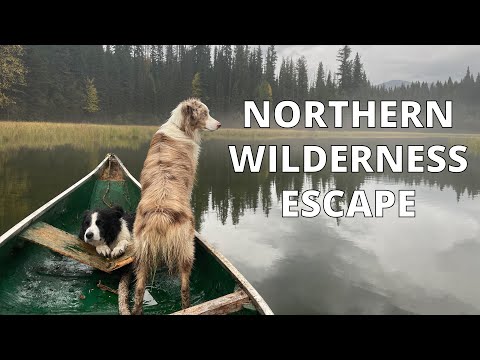 Видео: В дикой природе: хижина канадского охотника. Часть 1 из 2