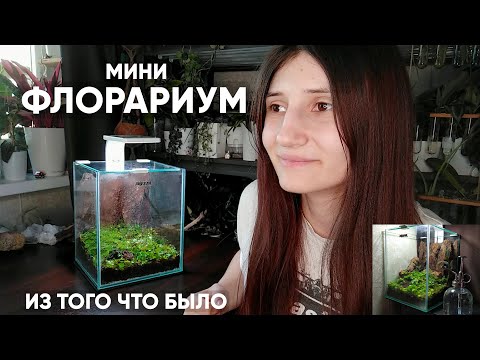 Видео: Мой первый Флорариум. И он из того, что было под рукой))