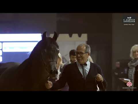 Видео: EAHGC ИТАЛИЯ 2025 Класс 5А