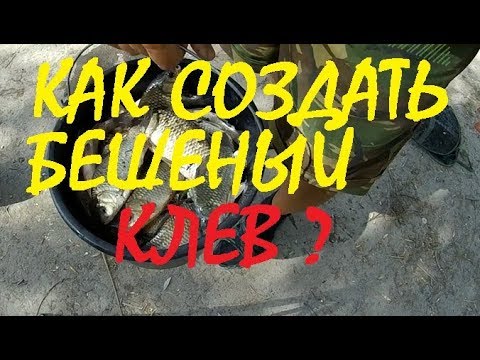 Видео: Кукурузная и гороховая мука / Как создать бешеный клев.