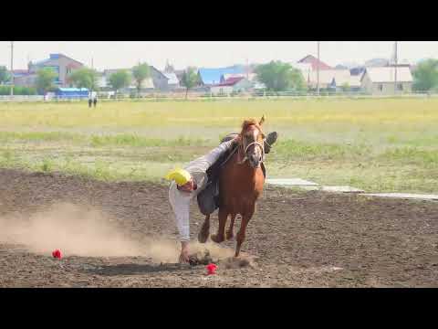 Видео: Теңге ілу. Жеті құт. Жастар