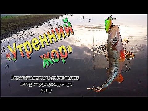 Видео: Утренний жор.. Ультралайт на мелководье, рыбалка на кренк, поппер, микроджиг, неогруженную резину