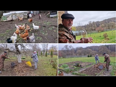 Видео: МЫ ОПЯТЬ ГРЕБЁМ И УБИРАЕМСЯ. УКРЫЛИ ЧЕСНОК.