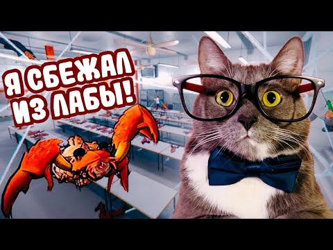 Видео: Я БЕШЕНЫЙ КРАБ! ГЕННАДИЙ СТАЛ ПАРАЗИТОМ В HEADLICE!