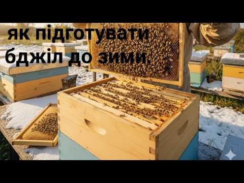 Видео: Показую як сформувати бджолосімю в зиму.