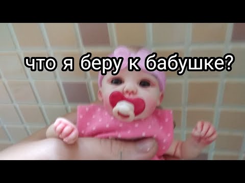 Видео: Что я беру к бабушке для мини Реборна?