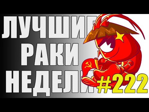 Видео: ЛРН выпуск №222 🤪 РАКООБРАЗНЫЕ ПОМОЩНИКИ и ПТИЦЫ С РАДИОУПРАВЛЕНИЕМ [Лучшие Раки Недели]