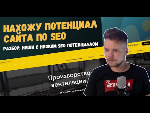Видео: Как проверить потенциал сайта по SEO в сложных нишах