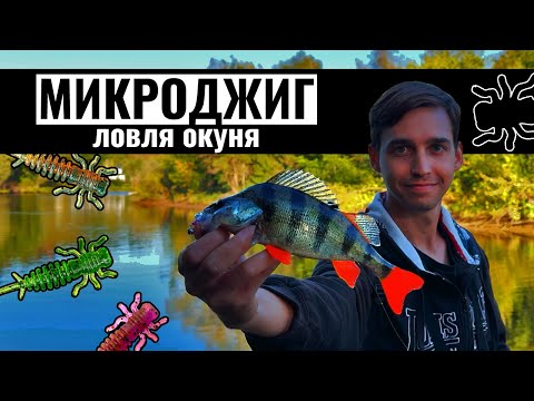 Видео: Ловля окуня на микроджиг