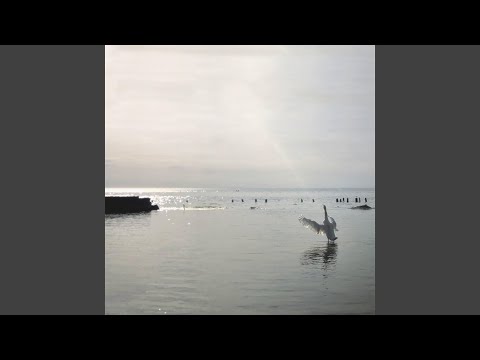 Видео: Стеклянное танго