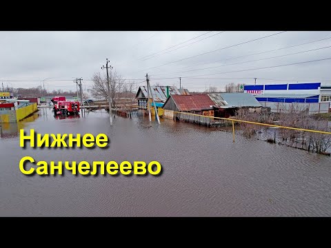 Видео: В Самарской области затопило село Нижнее Санчелеево