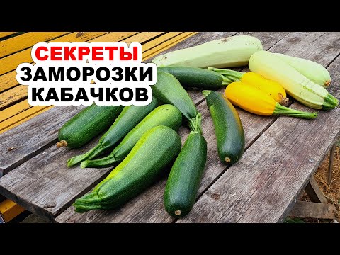 Видео: Лучшие способы заморозить кабачки на зиму. СЕКРЕТЫ, как правильно заморозить кабачки (научила всех)