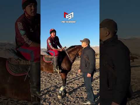 Видео: Ош жаштары да турнирде мыкты болуп финалга чейин чыгышты...