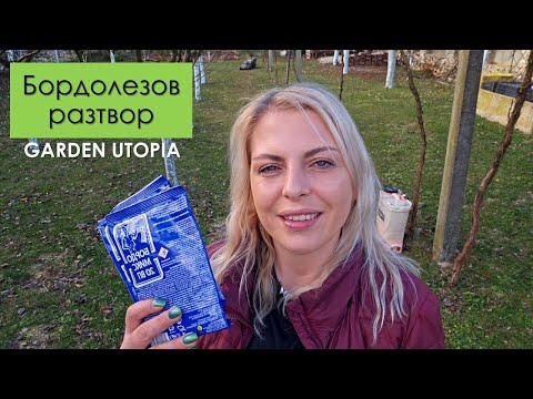 Видео: Бордолезов разтвор: ПОЛЕЗЕН или ВРЕДЕН?