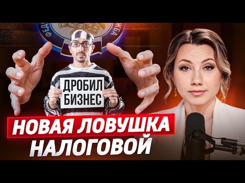 Видео: Что проверяет налоговая и как сохранить бизнес? | АМНИСТИЯ ПО ДРОБЛЕНИЮ бизнеса