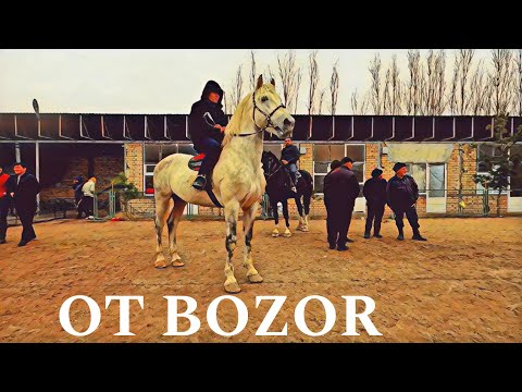 Видео: OT BOZOR! HORSE MARKET IN UZBEKISTAN! КОННЫЙ РЫНОК УЗБЕКИСТАНА!