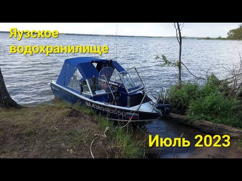 Видео: Рыбалка и грибы , Яузское водохранилище,  июль 2023 .