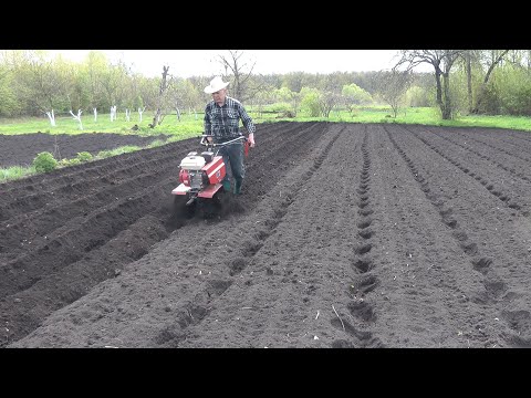 Видео: Мотоблок и лом ,гаранты урожая. Отчёт за 21 год. Часть 1.