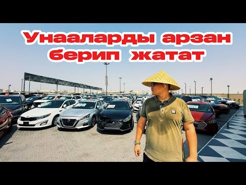 Видео: Дубайда машиналар арзан кетип жатат срочно алып жетишип калыныздар