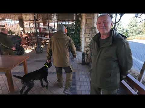 Видео: Весняні іспити дратхарів | Частина 2 ▶Шлях до трофею №102 ▶Трофей