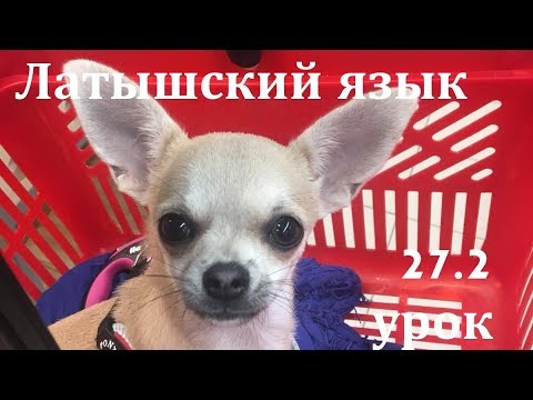 Видео: 27.2 урок - Повторяшка