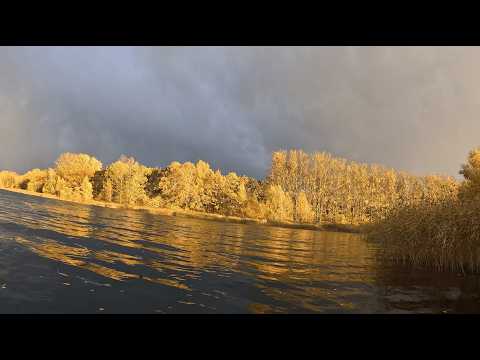 Видео: БУРЯ накрила на Риболовлі но пішов ШАЛЕНИЙ КльоВ