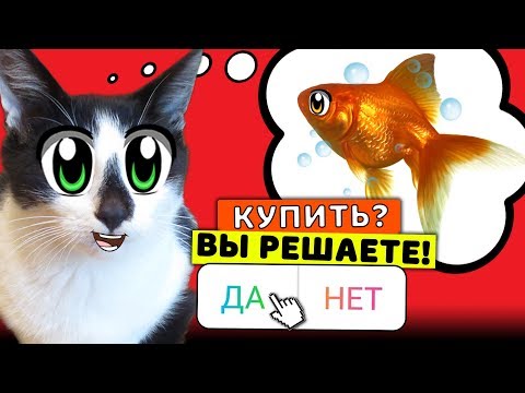 Видео: ПОДПИСЧИКИ УПРАВЛЯЮТ МОЕЙ ЖИЗНЬЮ! КОТ И КОШЕЧКА МУРКА ДЕЛАЮТ ВСЕ 24 ЧАСА!