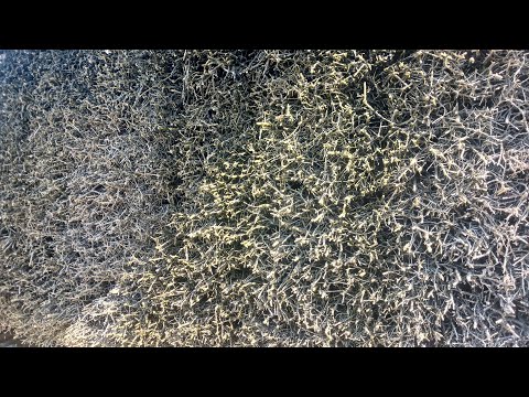 Видео: Осінь – час відновлення та релаксу. Сольова градирня. Рецепт гарного настрою.