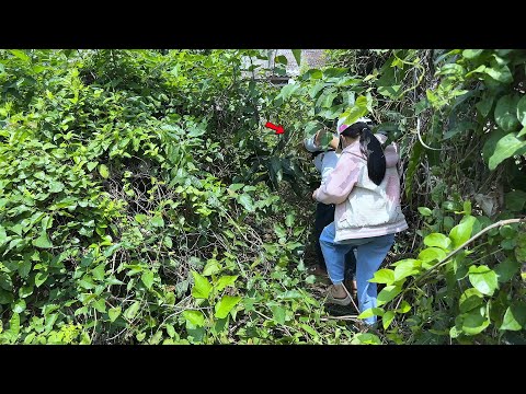 Видео: Женщина купила старый дом всего за 2800 долларов и привела его в порядок, удивив всех