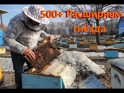 Видео: 500+ Как расширяем и кормим семьи.