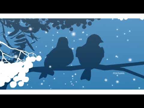 Видео: Заставки рекламы Первый канал (2011-2012)