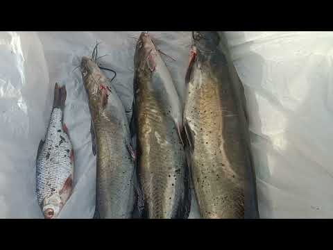 Видео: Рефтинское, рыбалка. Обзор клёвых мест . Новый канал.