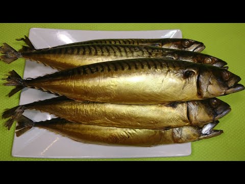 Видео: СКУМБРИЯ ХОЛОДНОГО КОПЧЕНИЯ I’m smoking it myself! You can’t buy such a mackerel!