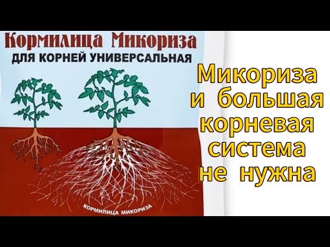 Видео: Так нужна или не нужна микориза и большие корни растениям?